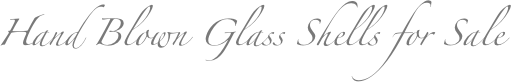 Hand Blown Glass Shells for Sale